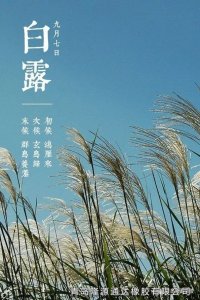 <b>露從今夜白，夜自此日涼！</b>